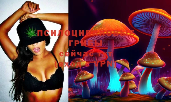 дурь Алзамай