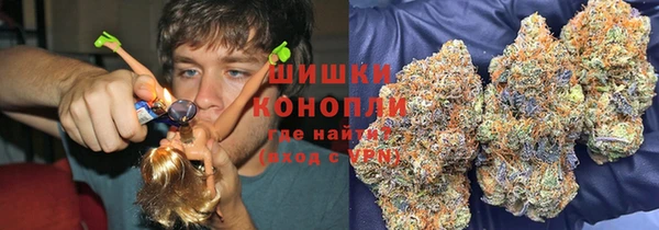 гидра Алексин