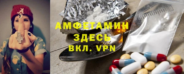 гидра Алексин