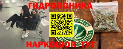 прущие крисы Новодвинск