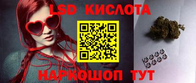 прущие крисы Новодвинск