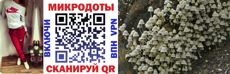 Псилоцибиновые грибы Cubensis  дарнет шоп  kraken онион  Черкесск 