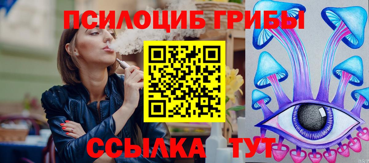Галлюциногенные грибы Psilocybine cubensis Черкесск